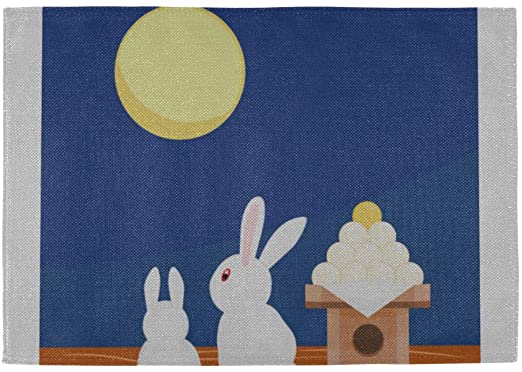 Amazon.com: QiyI Cool Placemats Rabbit Moon Light Night 12x18 Inch .