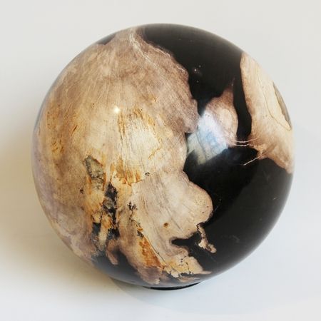 Petrified wood Sphere. MIXfurniture.com | Petrified wood, Wood, Sto