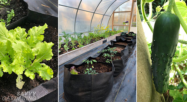 Fabric Raised Beds: The Perks of Growing Vegetables in Fabric Po