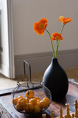Black vase with orange gerbera and … – Buy image – 11016493 .