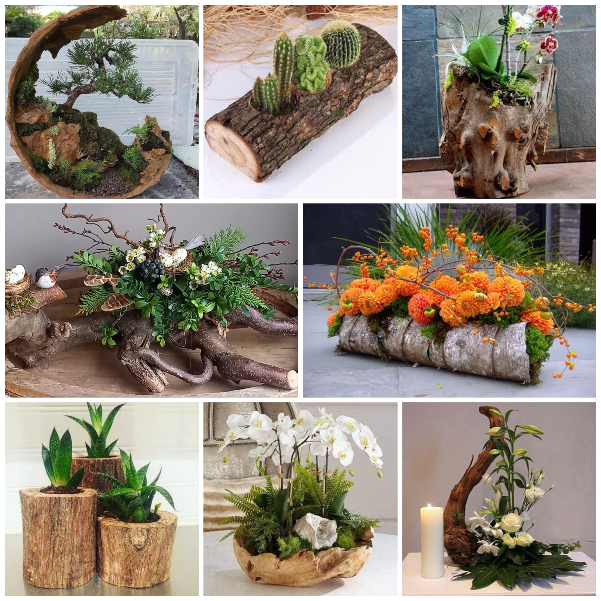 Woodworking Project Ideas – Wood Planters