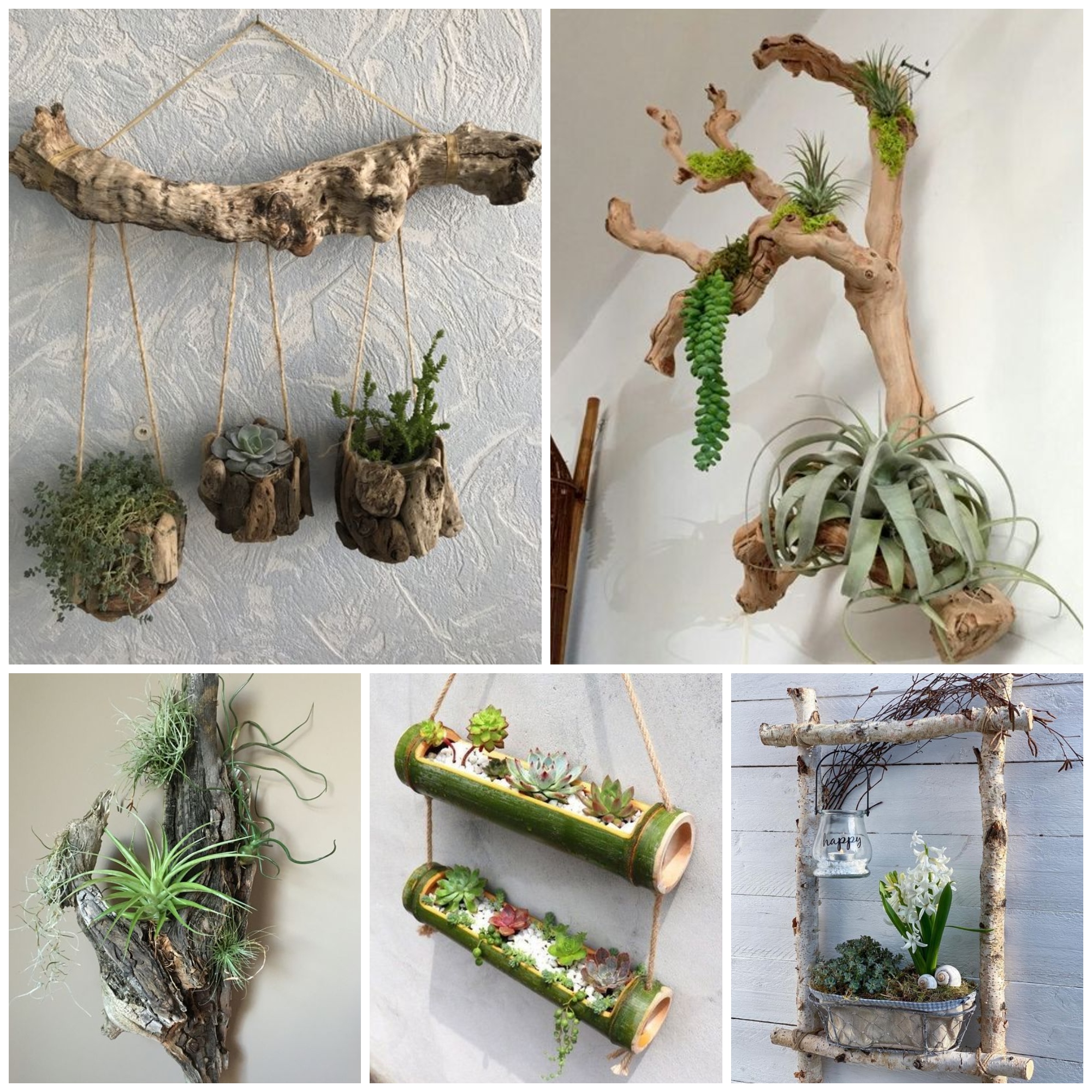 Amazing Driftwood Planter Ideas For Your Home