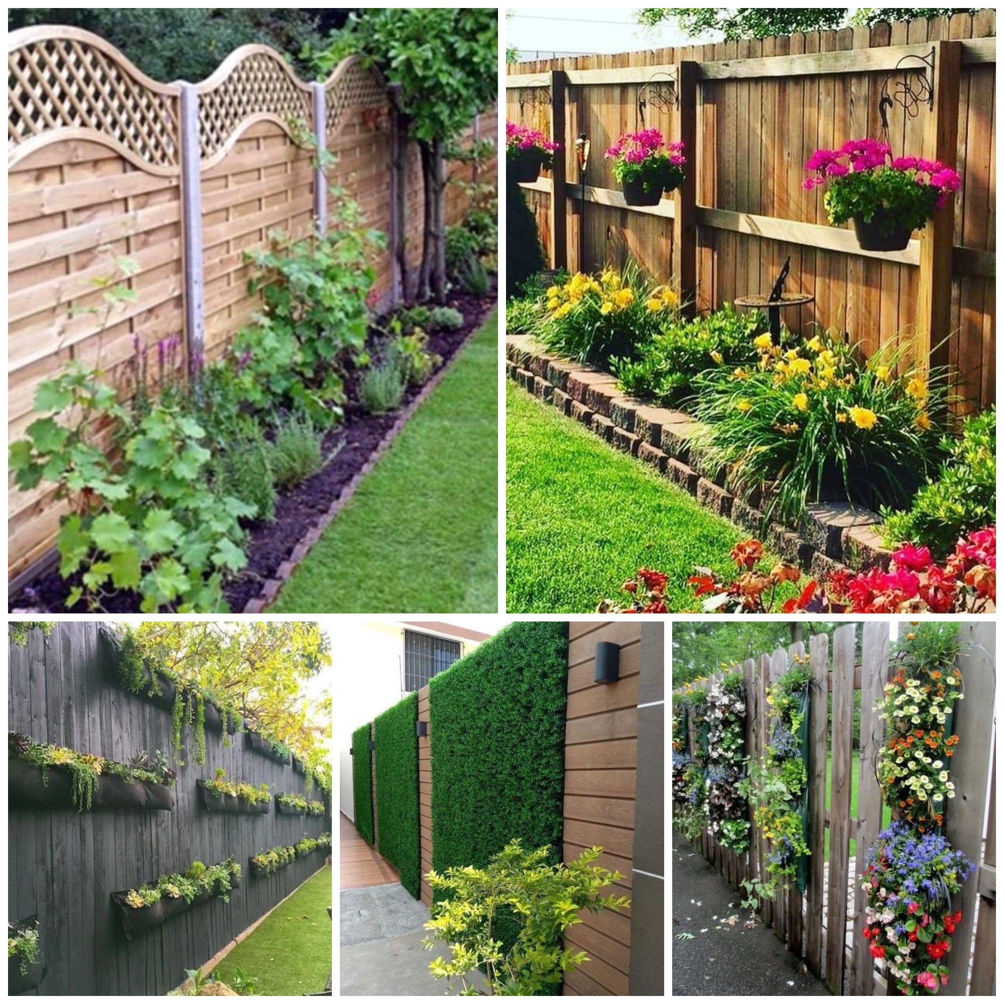 Inspiring Garden Fences