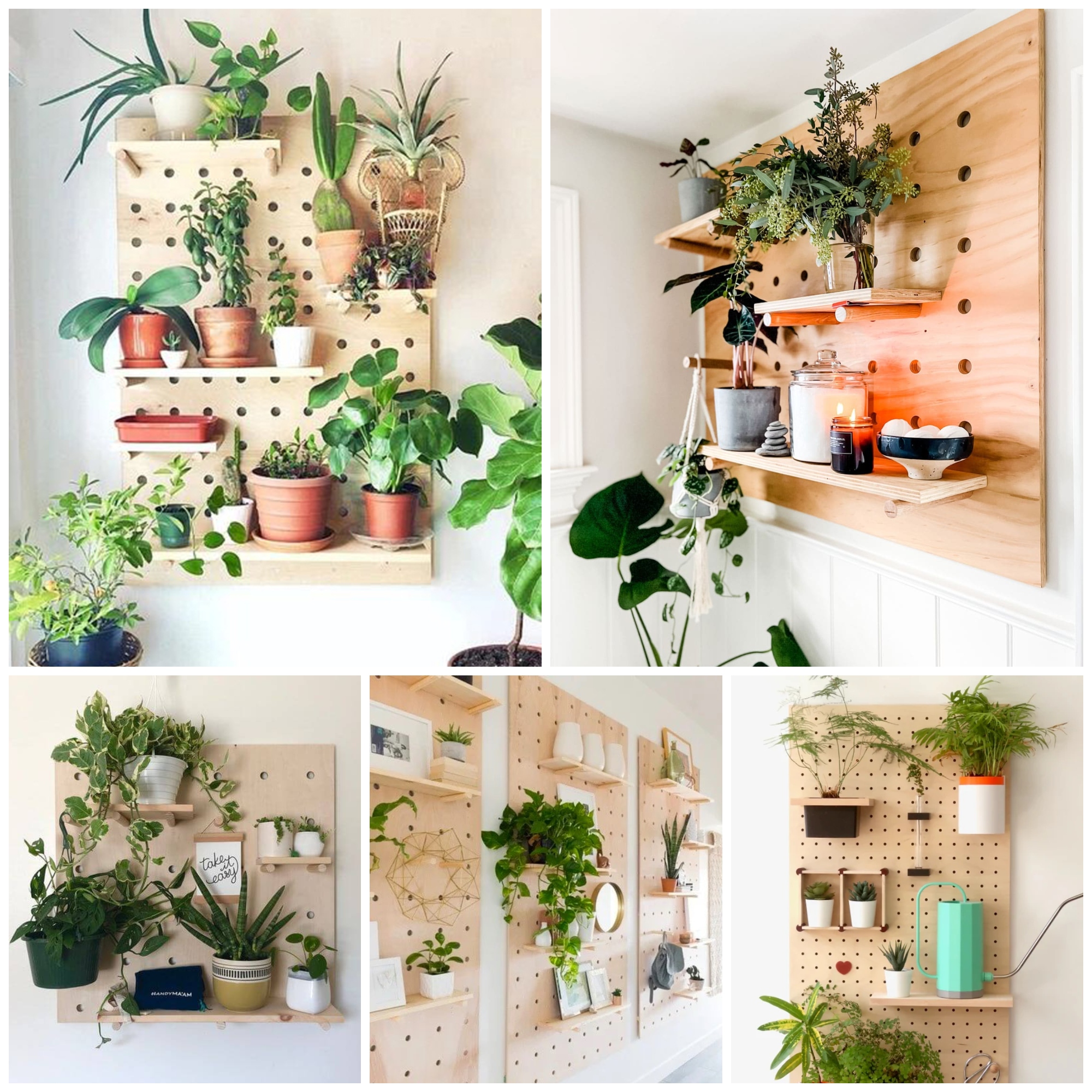 Minimalist DIY Pegboard Ideas For Your Plants