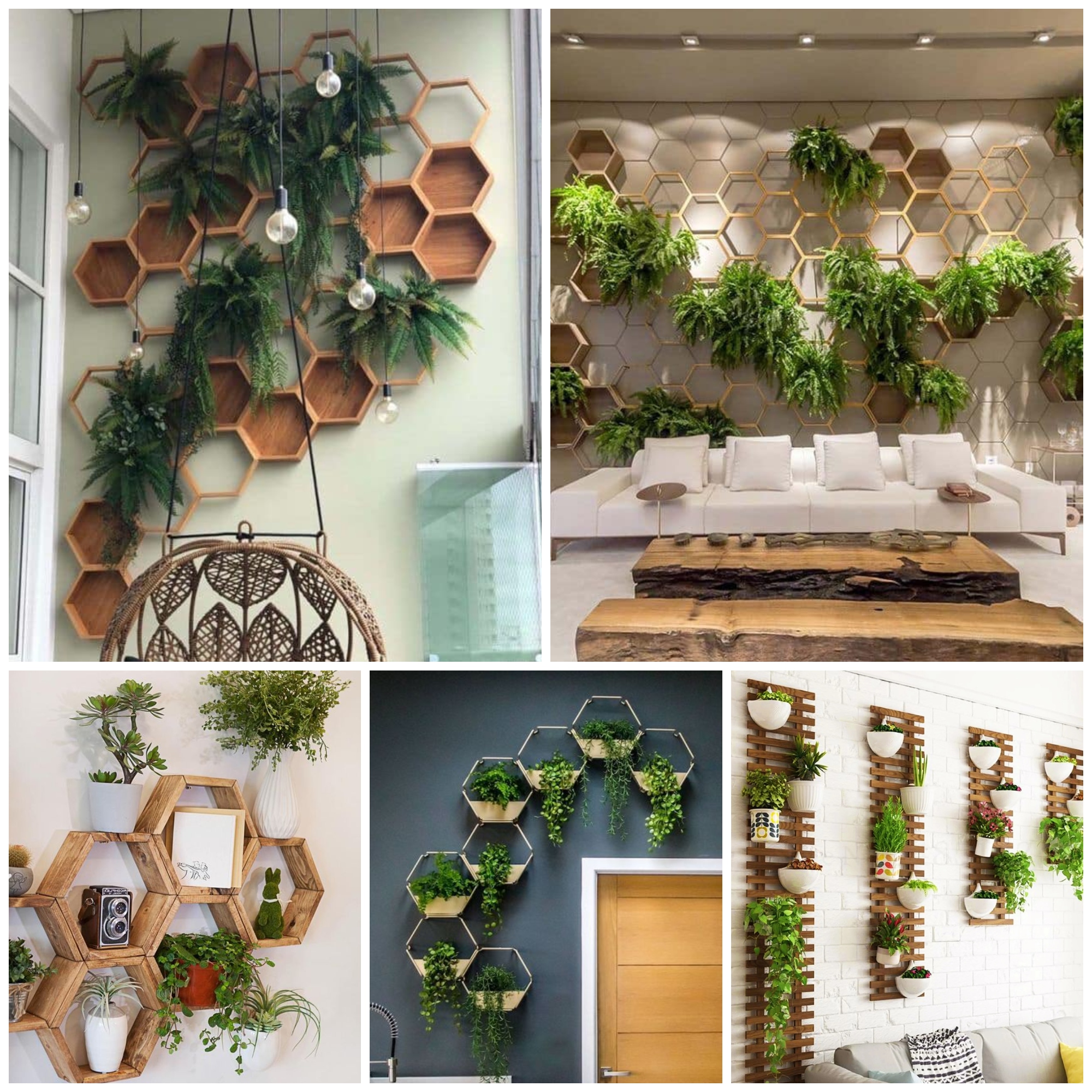 Plant Wall Shelf Ideas That Are Perfectly Styled