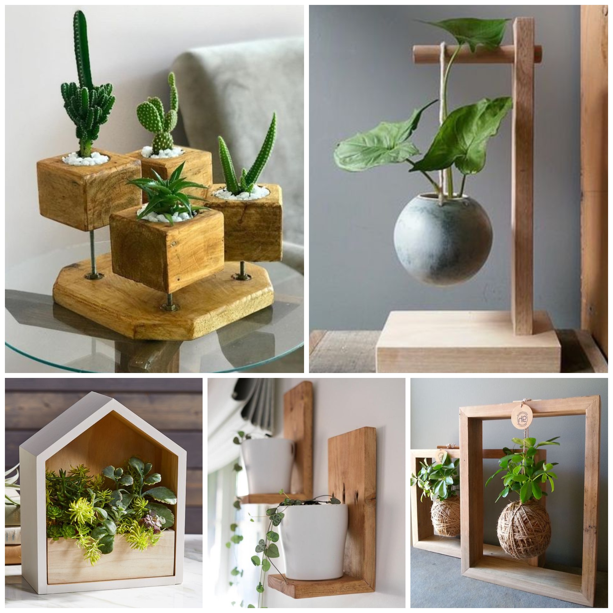 Beautiful Plant Shelf Ideas That Are Perfectly Style
