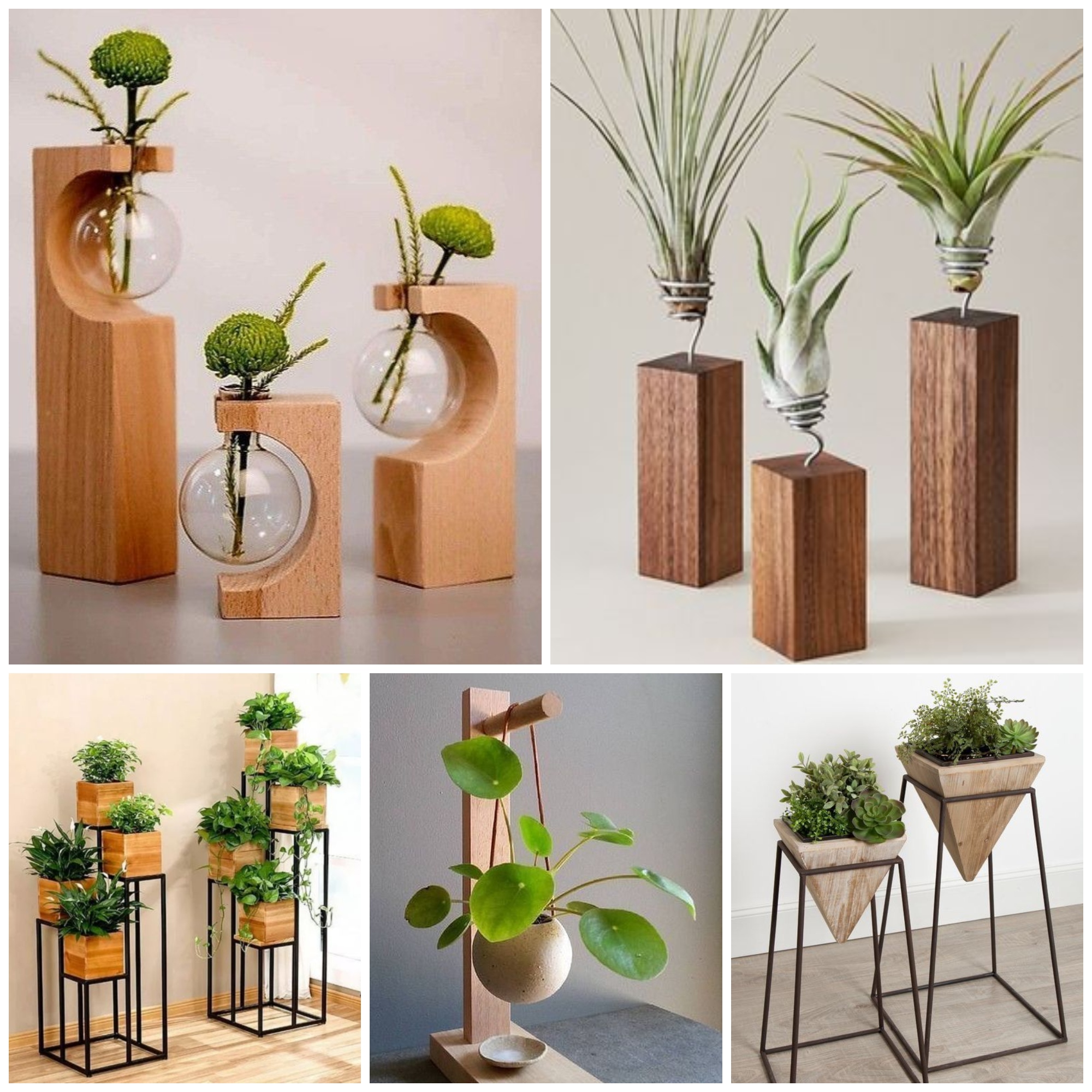 Cute Plant Shelf Ideas That Are Perfectly Style