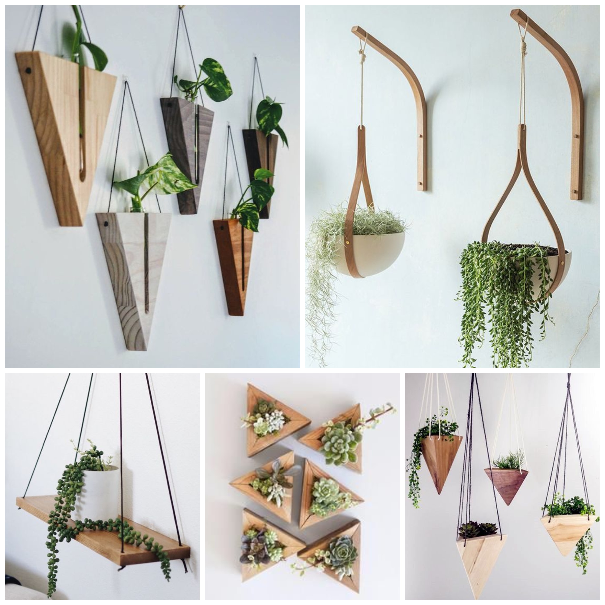 Plant Shelf Ideas That Are Perfectly Style