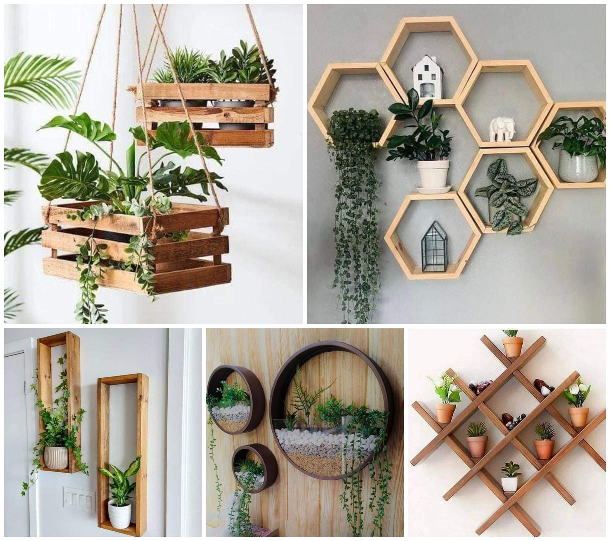 Plant Wall Shelf Ideas That Are Perfectly Styles