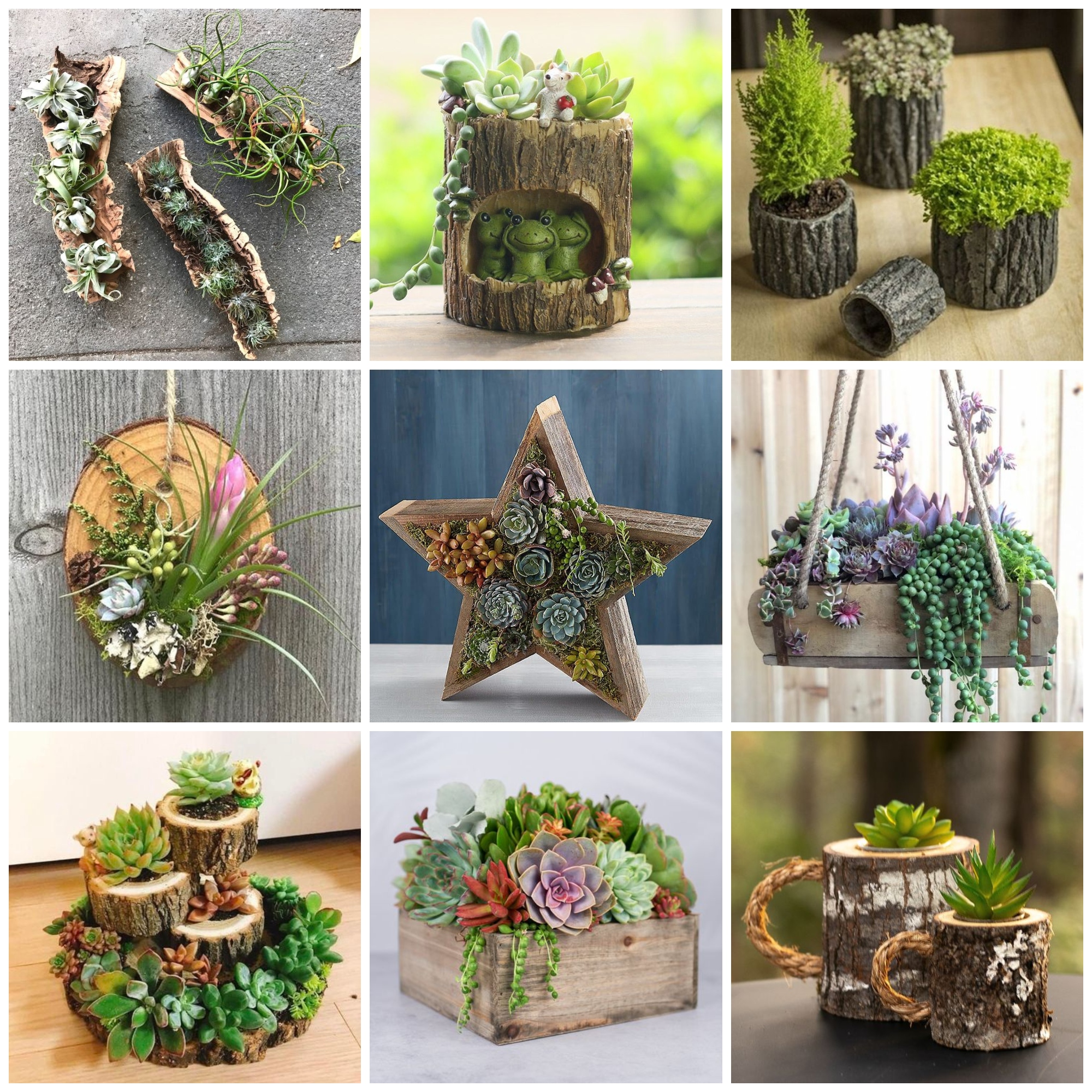 Stunning Succulent Planter Ideas For Your Home