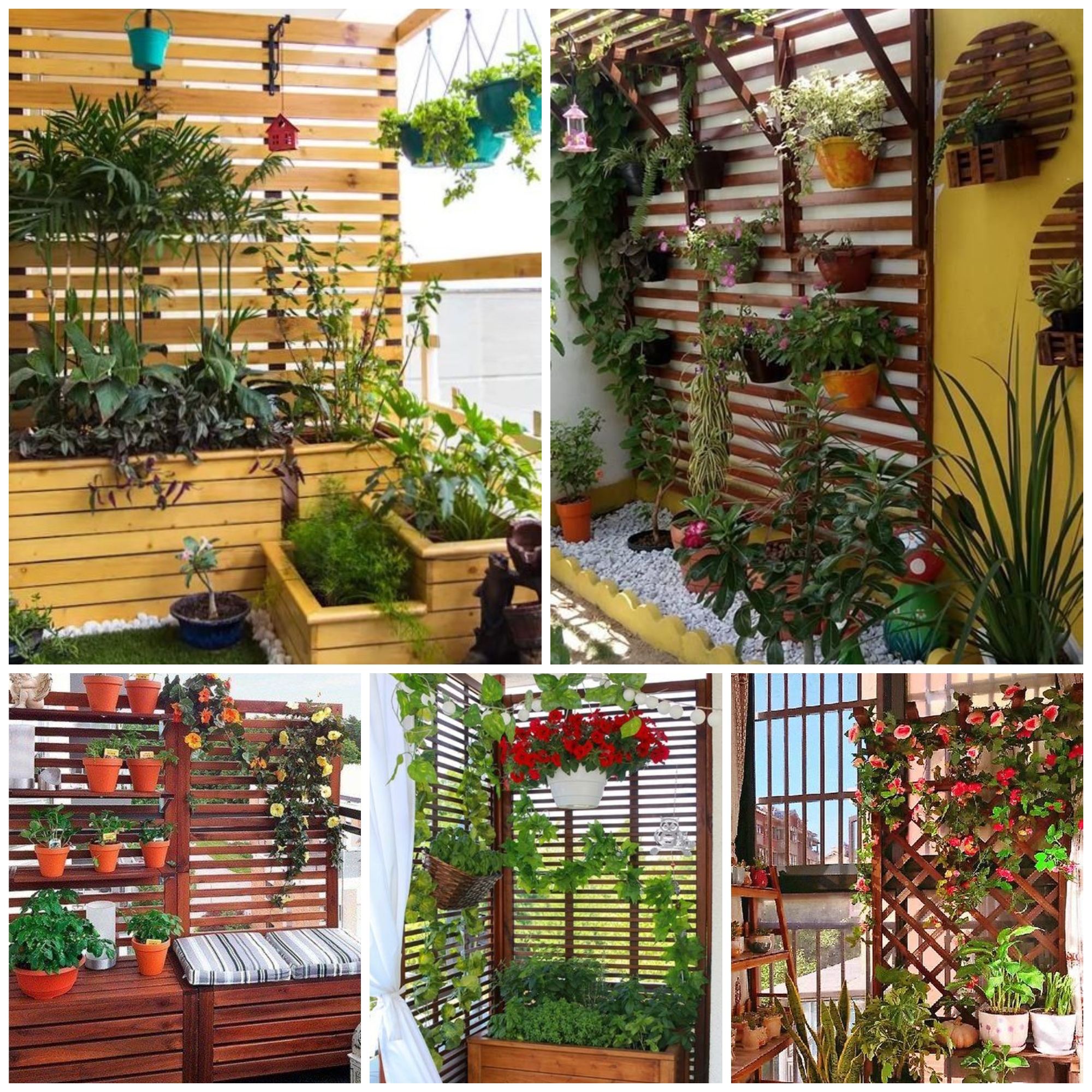 Unique DIY Vertical Garden Ideas to Try