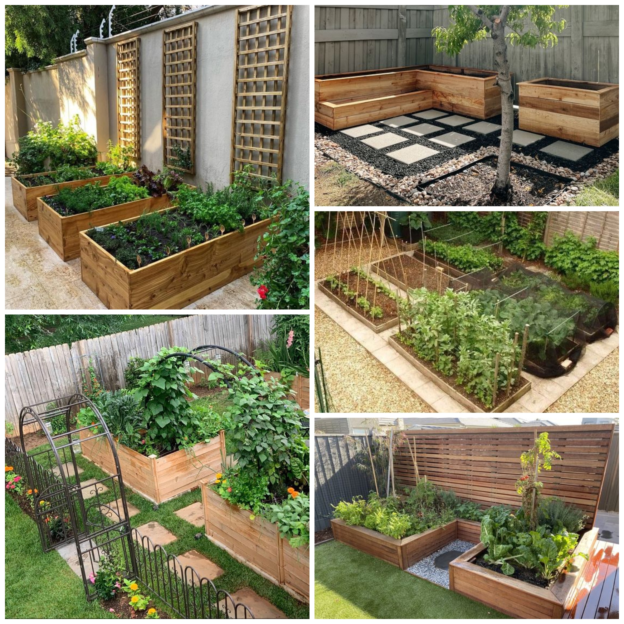 Vegetable Garden Ideas – Landscaping with Vegetables