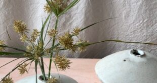 Ikebana Bowls For Flower Arrangements