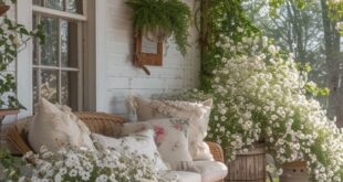 Patio Decor Ideas