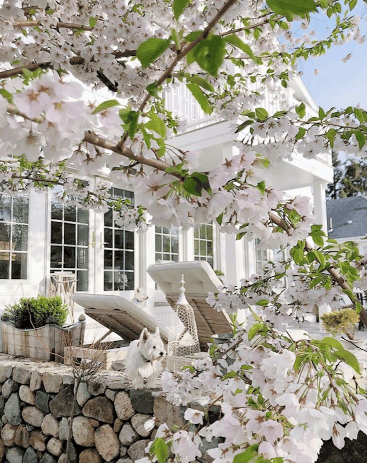 Home With Lots Of White Bright and Airy Living Space Full of White Tones