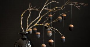 Acorn Decor For Your Home