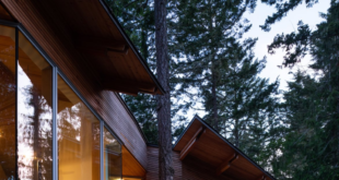 Angular Forest Cabin