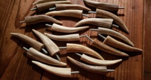 Antler Holders And Hooks