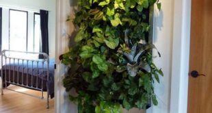 Apartment With A Living Wall