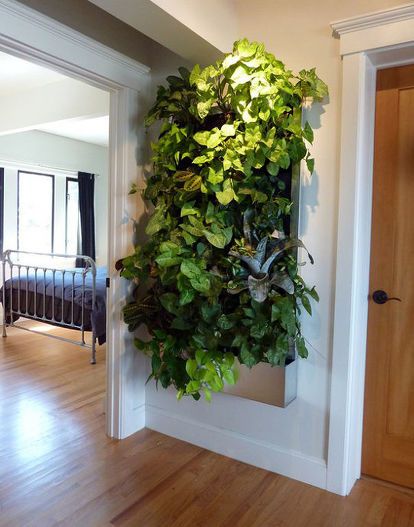 Apartment With A Living Wall Innovative Urban Oasis: Bringing Nature Indoors with a Stunning Living Wall Oasis