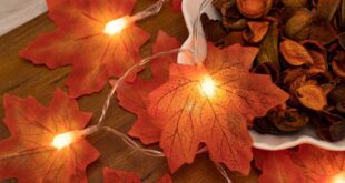 Autumn Leaves For Home Decor