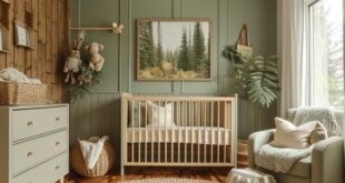 Baby Nursery Rooms