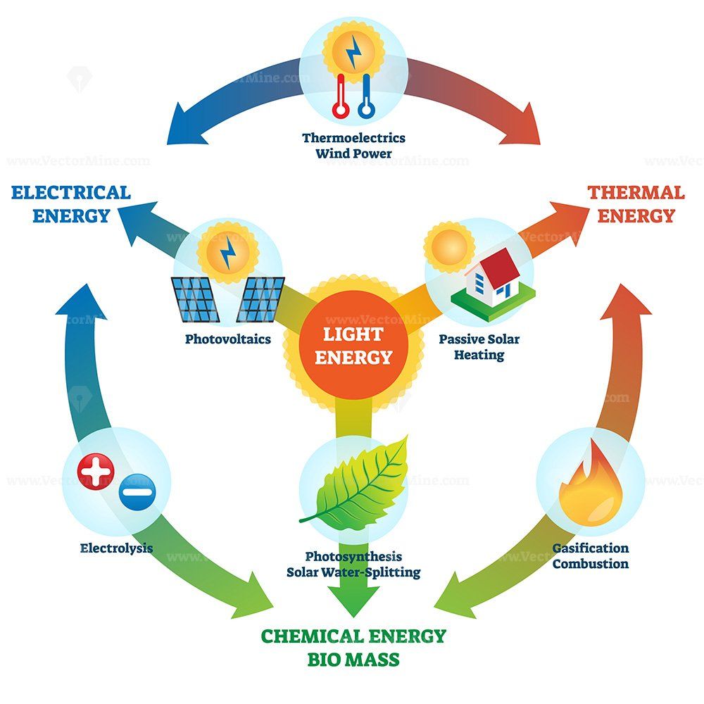 Bio Mass Lights Sustainable Lighting Option using Organic Materials and Energy