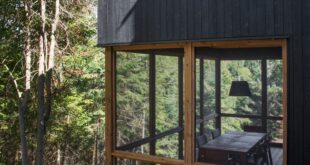 Black Chalet Overlooks Forest