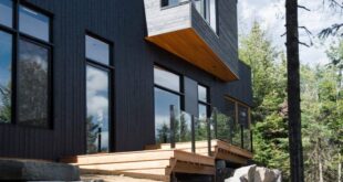 Black Chalet Overlooks Forest