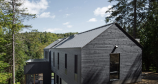 Black Chalet Overlooks Forest