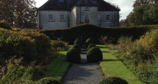 Classic Irish Cottage