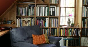 Comfy Chair Built Bookshelves