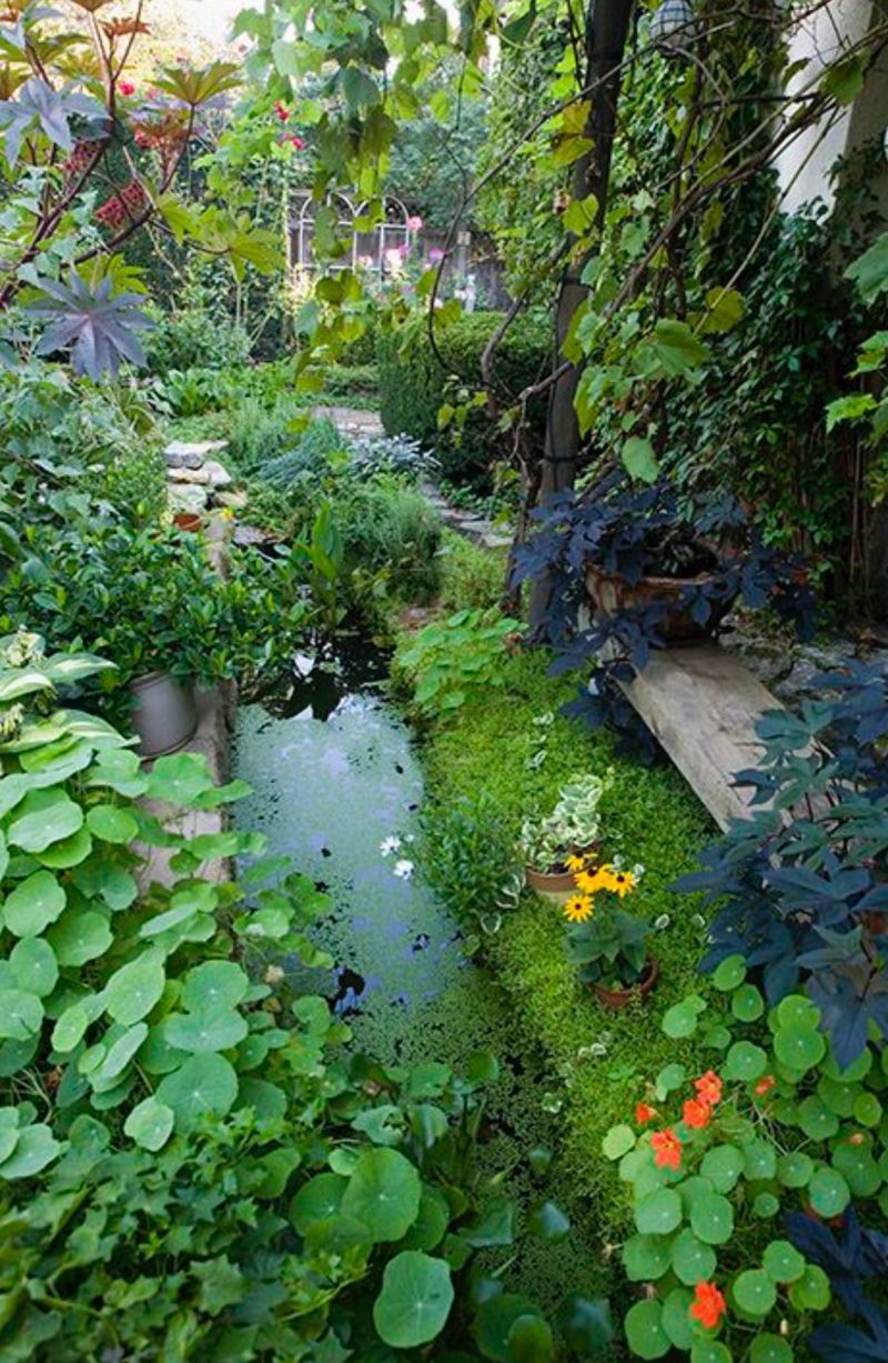 Cool Backyard Pond Design Ideas