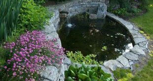 Cool Backyard Pond Design