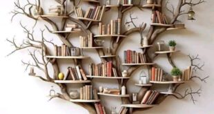 Creative Bookcase Bedroom