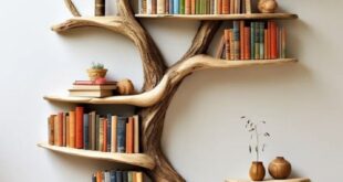Creative Bookshelf House