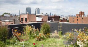 Eclectic Rooftop Oasis