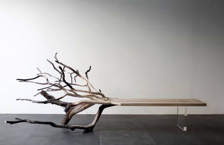 Fallen Tree Bench Unique Outdoor Seating Option Made from Natural Wood Trunk