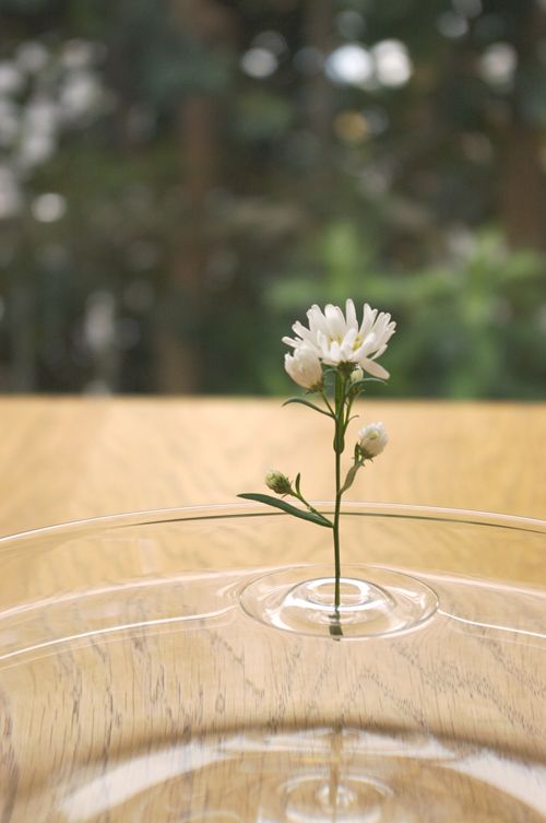 Floating Ripple Vases Elegant Vessels that Create the Illusion of Floating Ripples