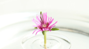 Floating Ripple Vases