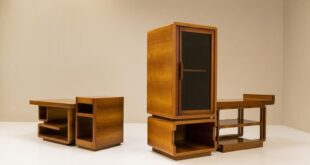 Futuristic Cabinet Of Walnut