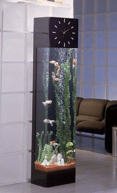 Home Aquariums: A Unique Way to Bring Nature Indoors