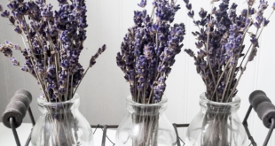 Home Decor With Lavender