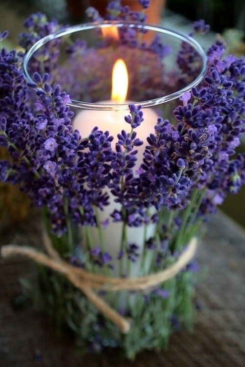 Home Decor With Lavender The Soothing Power of Lavender in Your Home