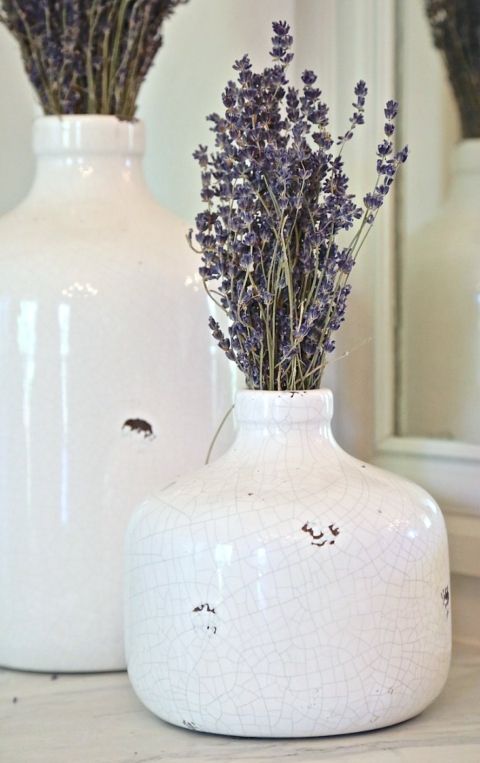 Home Decor With Lavender Transform Your Space with the Soothing Scent and Elegant Hue of Lavender