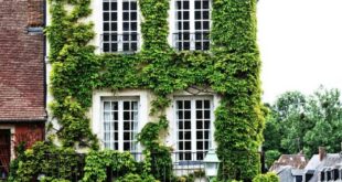 House Covered With Living Vines