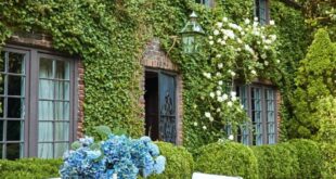 House Covered With Living Vines