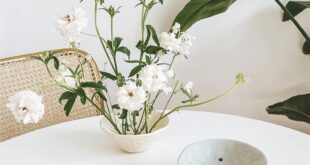 Ikebana Bowls For Flower Arrangements