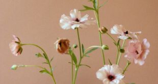 Ikebana Bowls For Flower Arrangements