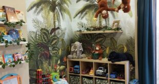 Jungle Inspired Kids Room Designs